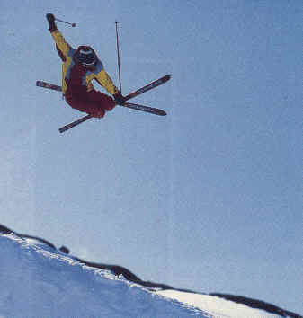 skipic2.jpg (9083 bytes)